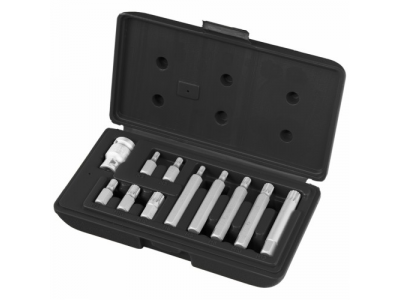 Набор бит SPLINE, хвостовик-шестигранник 1 1/2'', CrV,10 мм, 11 пред// STELS