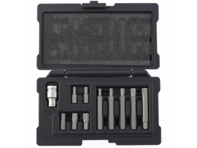 Набор бит SPLINE, хвостовик-шестигранник 1 1/2'', CrV,10 мм, 11 пред// STELS