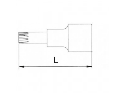 Головка торцевая с вставкой spline 1/2" M6 L=55мм