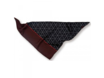 Шарф Renault Scarf Clio 2013 от Renault Шарф Renault Scarf Clio 2013