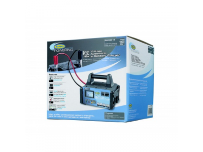 Пуско-зарядное устройство RING RECB312